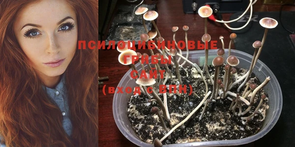 каннабис Абинск