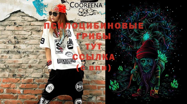 дживик Алзамай