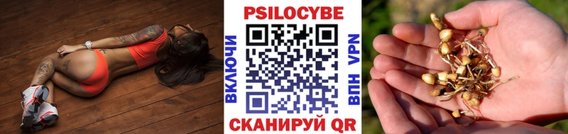 ссылка на мегу ССЫЛКА цены наркотик Венёв Галлюциногенные грибы мухоморы