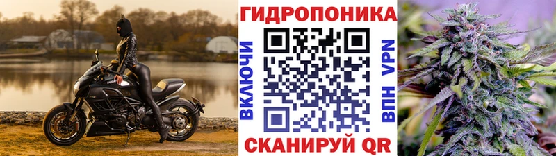 нарко площадка как зайти  Венёв  Бошки марихуана семена  наркошоп 
